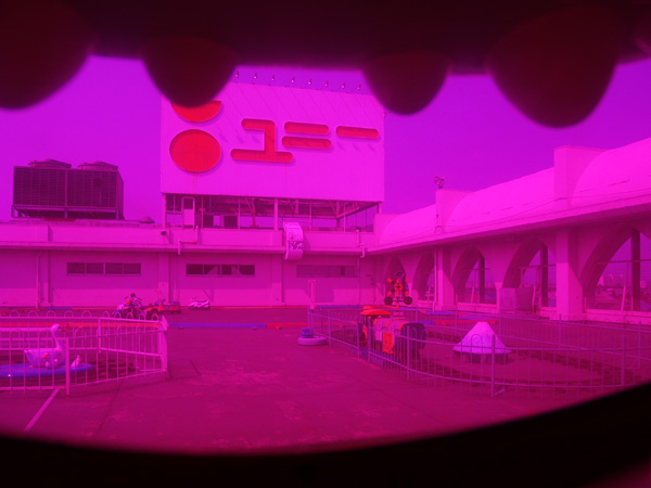 ���j�[ �ēc�X�̉���