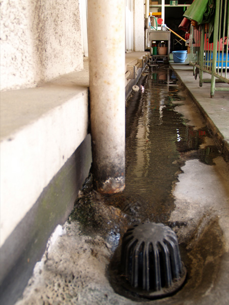 ���j�[ �ēc�X�̉���