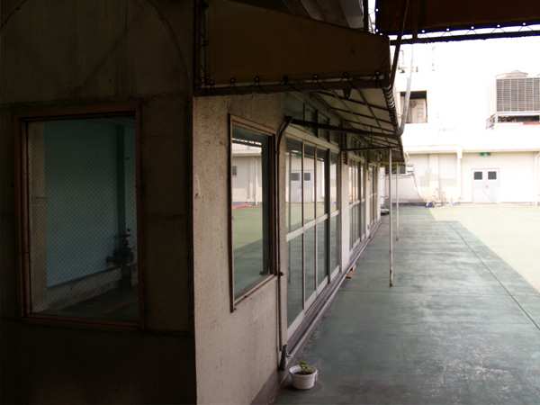 ���j�[ �ēc�X�̉���