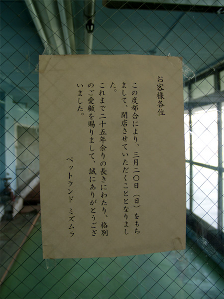 ���j�[ �ēc�X�̉���