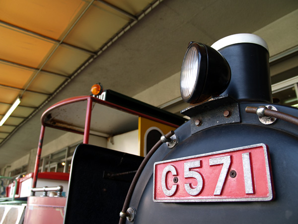 ���j�[ �ēc�X�̉���