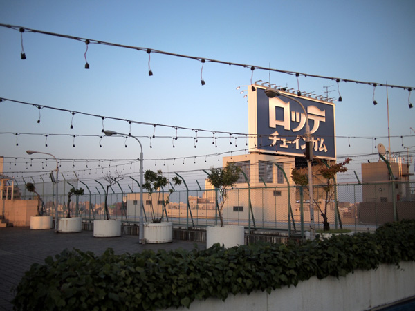 �����󑐂̉���