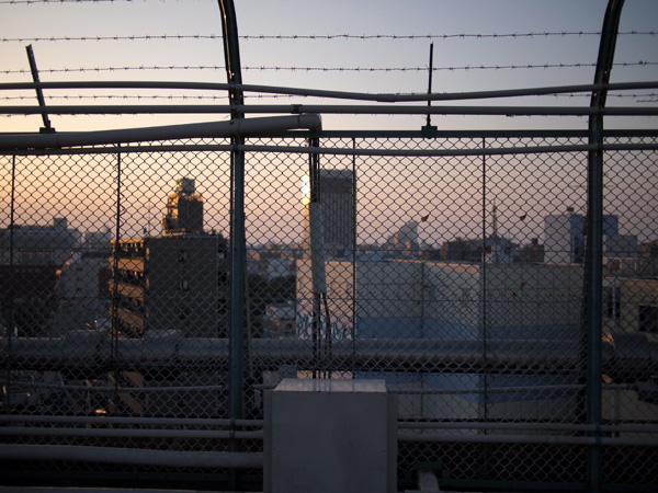 �����󑐂̉���