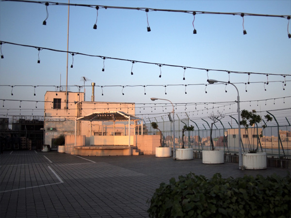 �����󑐂̉���