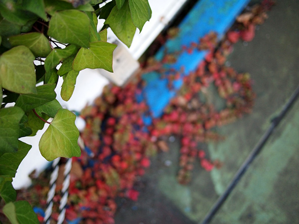 �����󑐂̉���