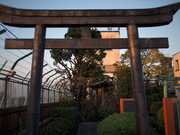 �����󑐂̉���