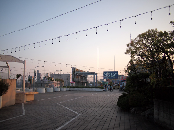 �����󑐂̉���