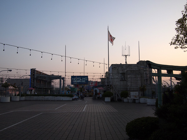 �����󑐂̉���