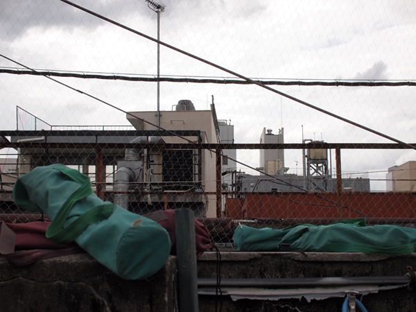 ��Ȃ����q�ɂ̉���