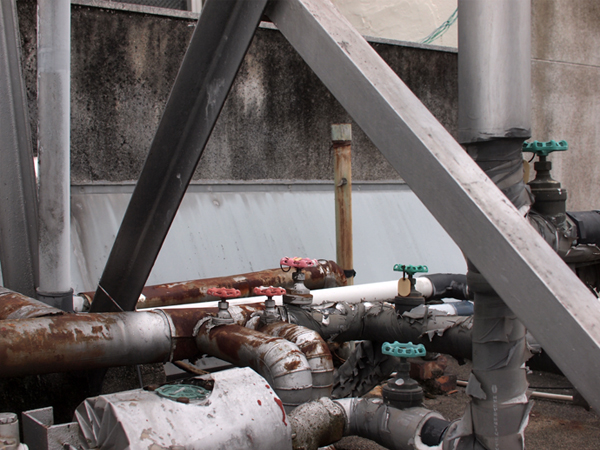 ��Ȃ����q�ɂ̉���