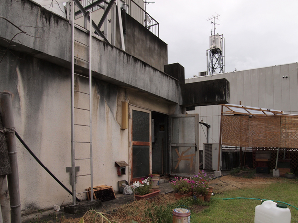 ��Ȃ����q�ɂ̉���