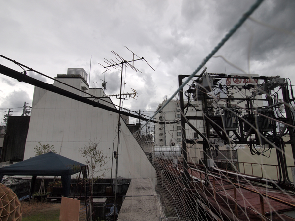 ��Ȃ����q�ɂ̉���