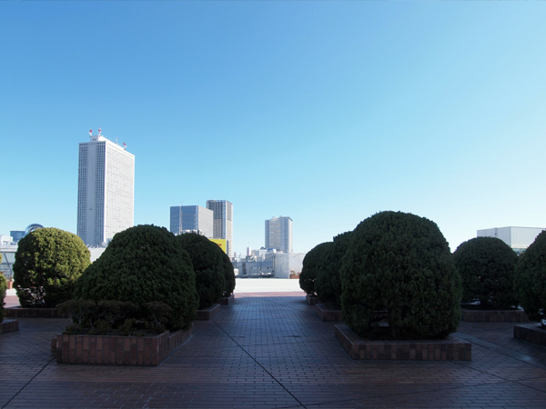 �����r�ܖ{�X�̉���