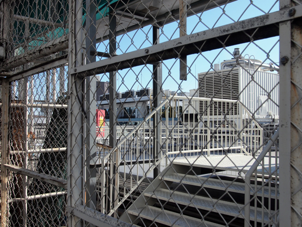 �����r�ܖ{�X�̉���