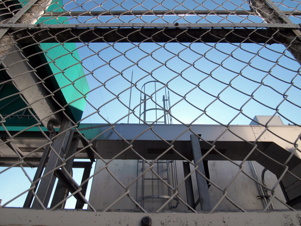 �����r�ܖ{�X�̉���